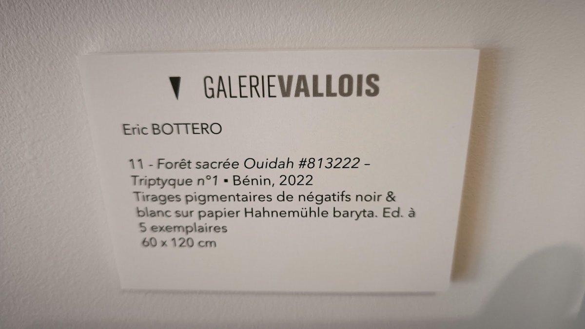 Galerie Vallois - Art Moderne et Contemporain