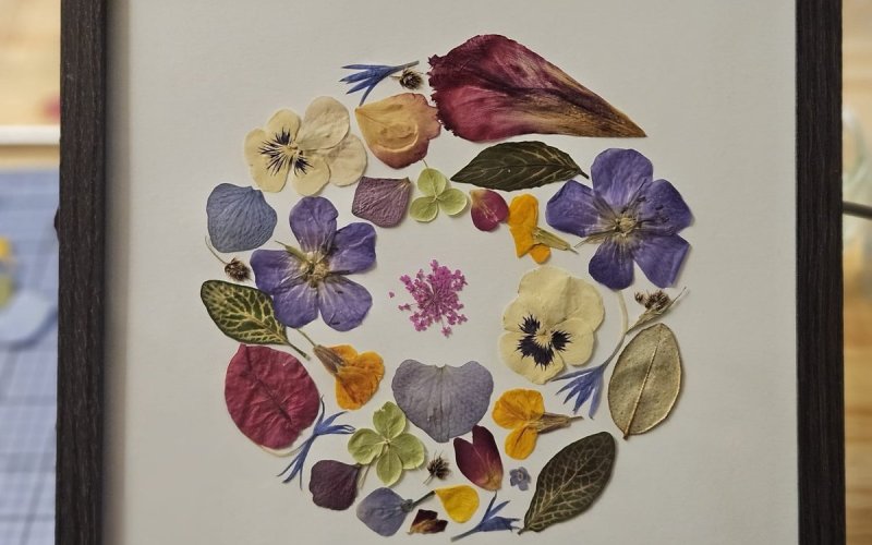 Atelier herbier encadré avec Graines de botaniste