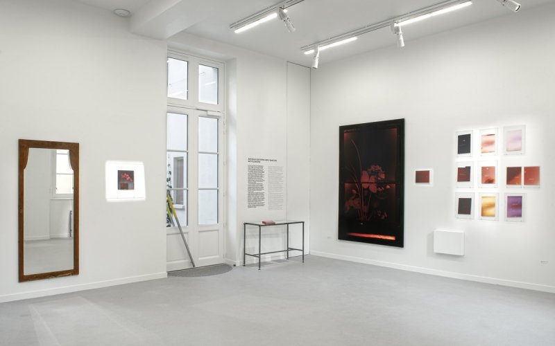 Exposition : no flowers d'Akosua Viktoria Adu-Sanyah