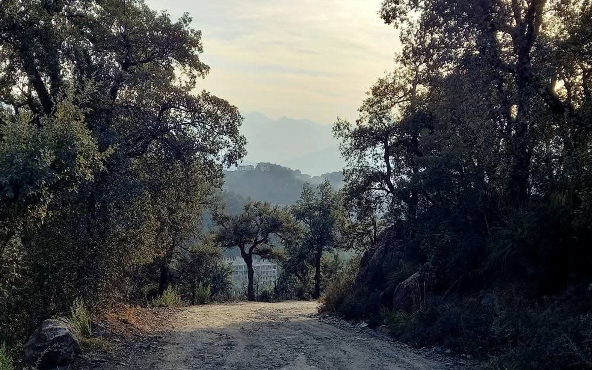 Lieux, rencontres et sentiments : photographies et poésies de Rabah Bellili