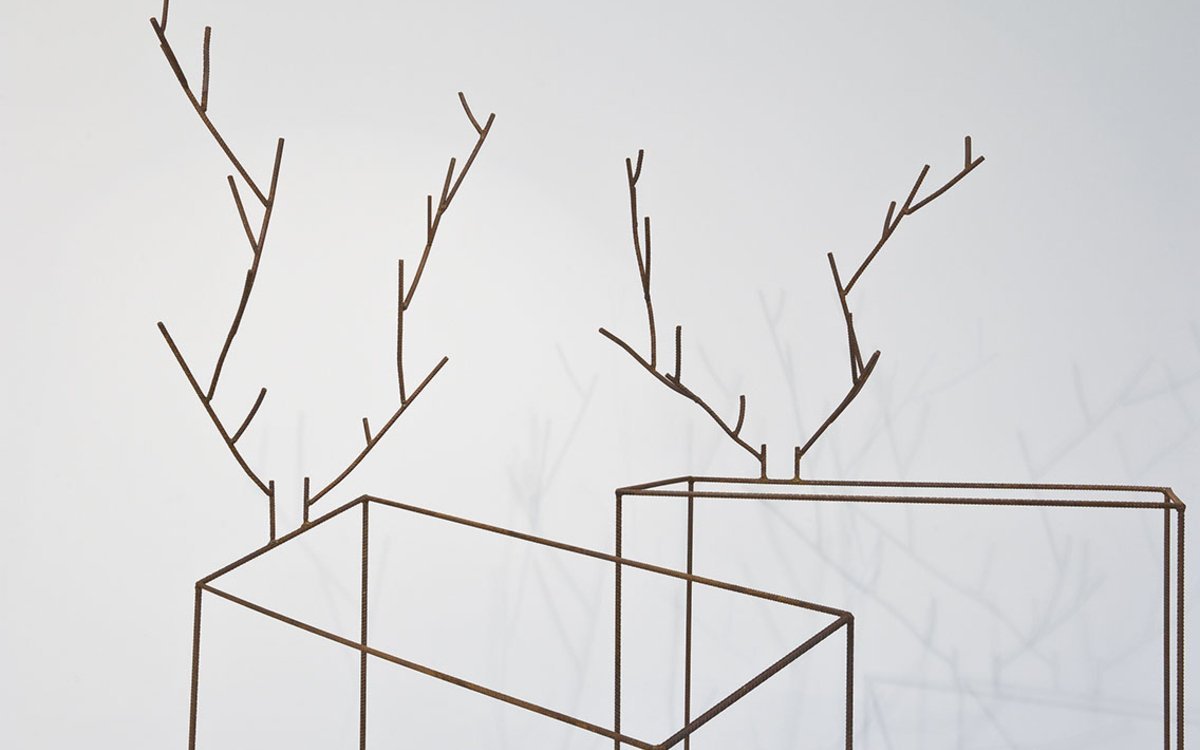 Découvrez l'exposition « Éloge du trait » dans la collection agnès b.