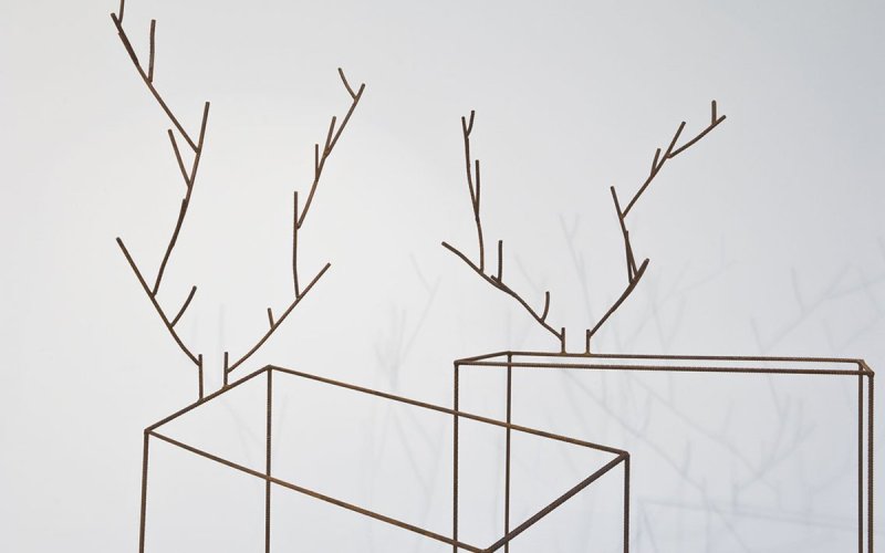 Découvrez l'exposition « Éloge du trait » dans la collection agnès b.