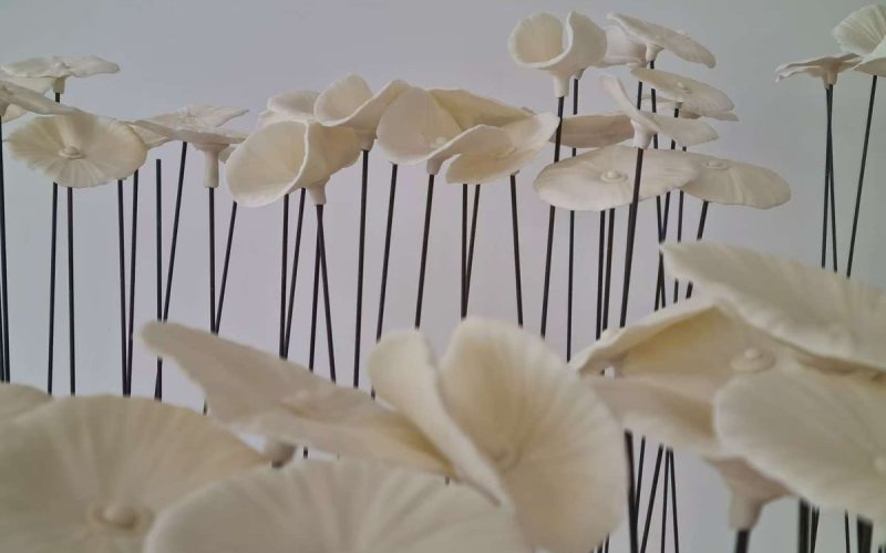 Exposition solo « Alice au royaume illusoire » : XiaoWei Yuan