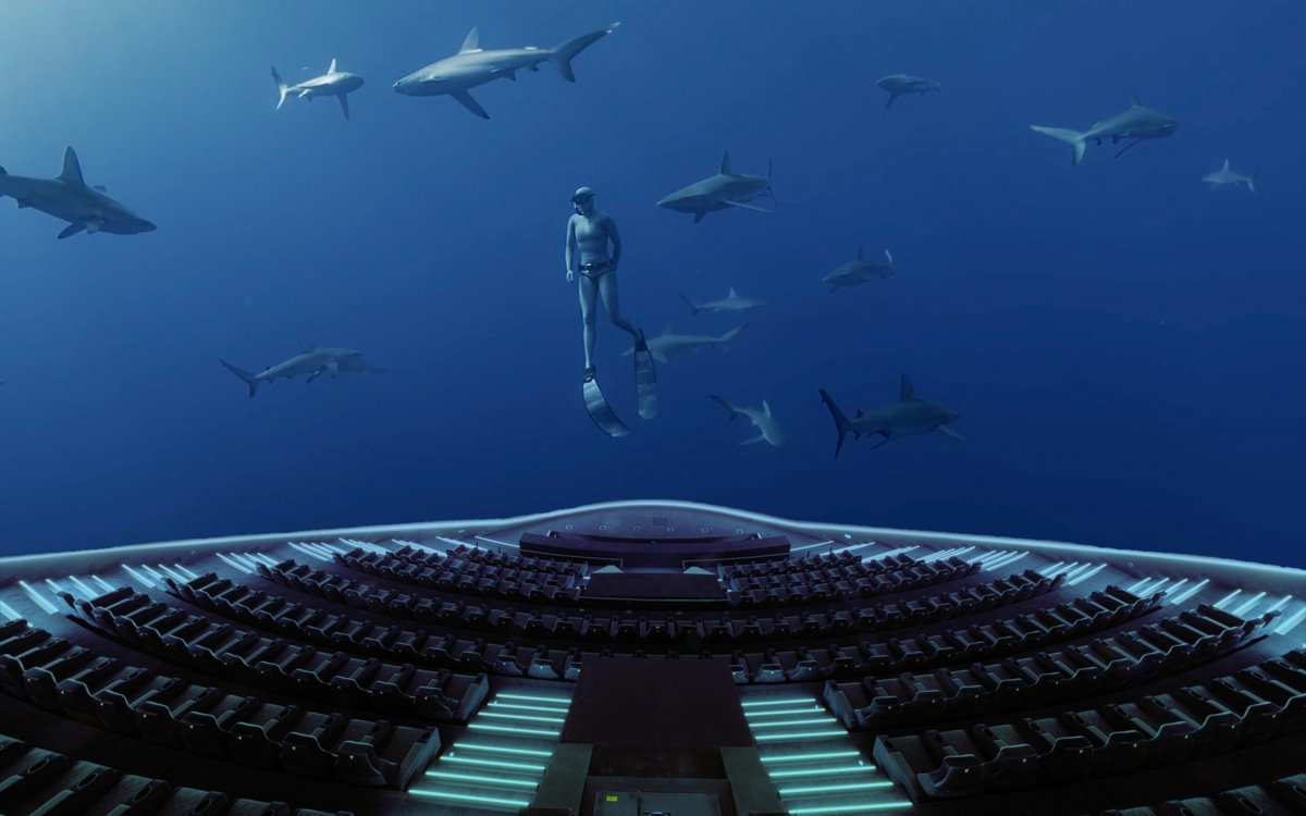 Sortie du Royaume des Requins à la Géode