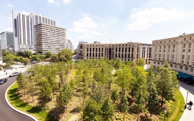 Visite de la place de Catalogne: d'un rond-point minéral à une forêt urbaine