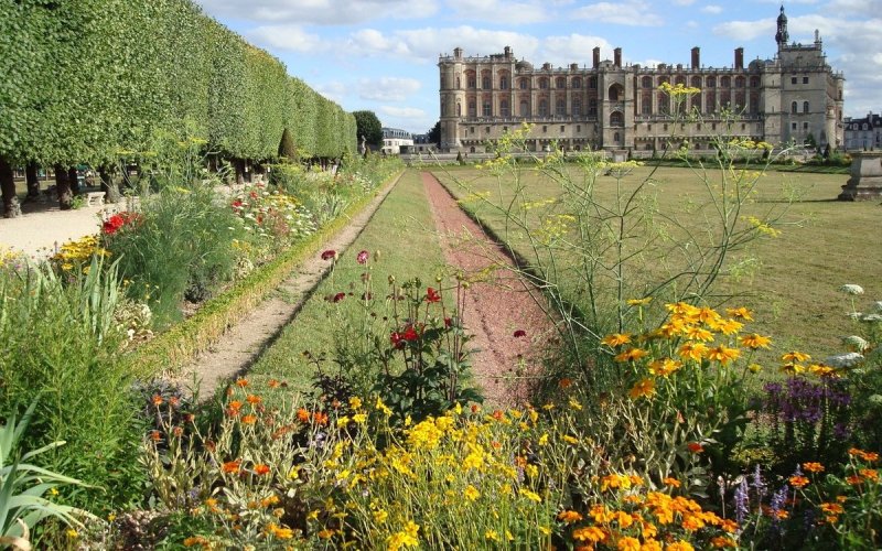 Balade conviviale : une journée à Saint-Germain-en-Laye