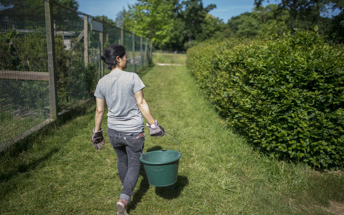 Soigneur d'un jour durant l'été