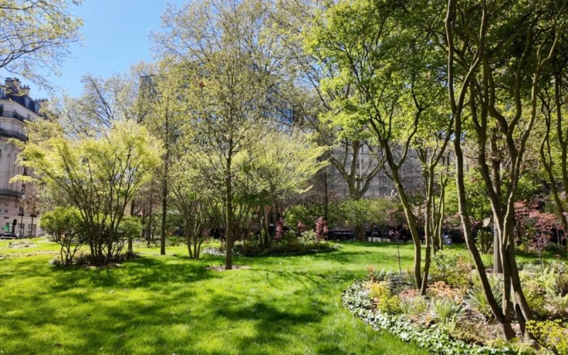 Forêt urbaine de la place du Colonel Fabien