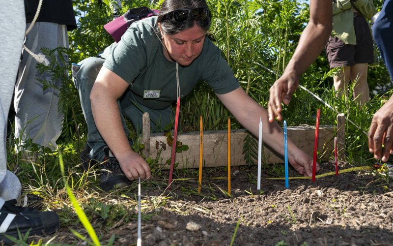 Chantier participatif à la Ferme de Paris