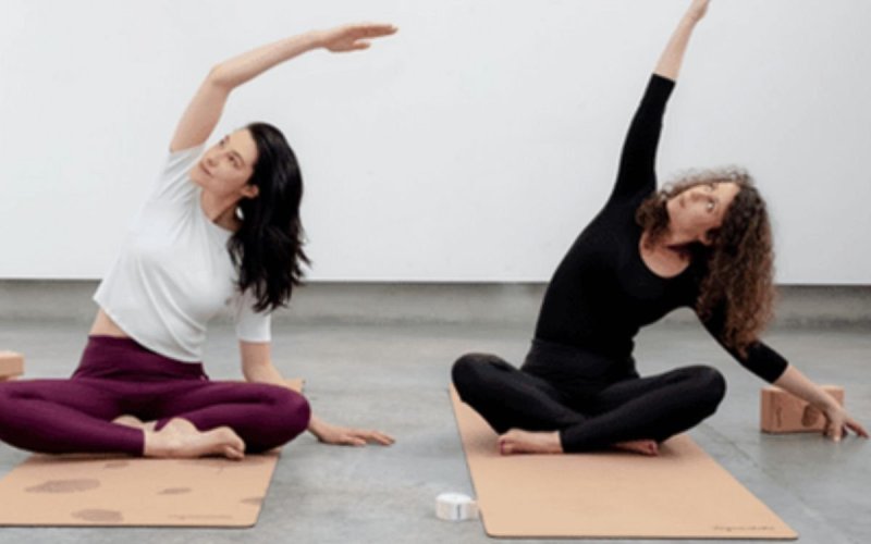 30h - Formation "Yogathérapie et douleurs"