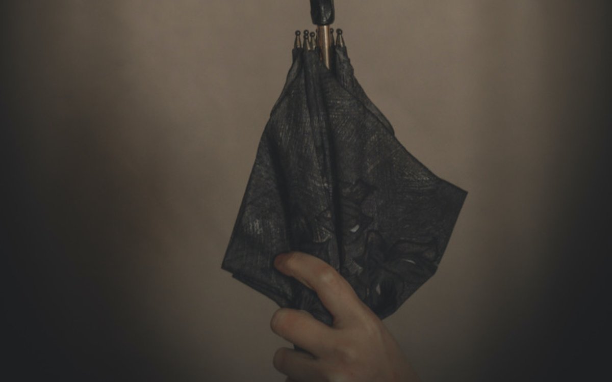 Le Parapluie de Rosa Parks : journées du matrimoine