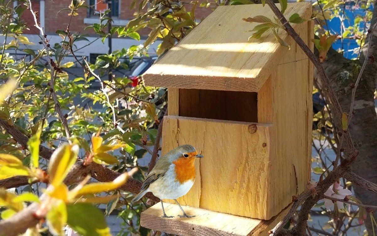 Fabriquez votre nichoir à oiseaux en duo parent-enfant