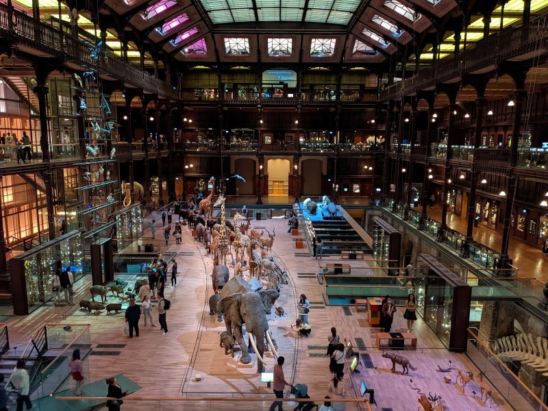 Grande Galerie de l'Évolution