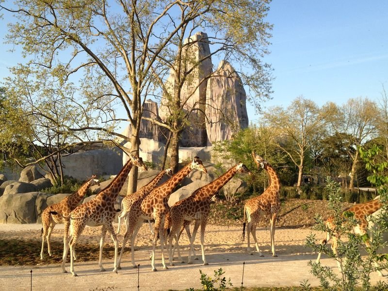 Parc Zoologique de Paris (Zoo de Vincennes)