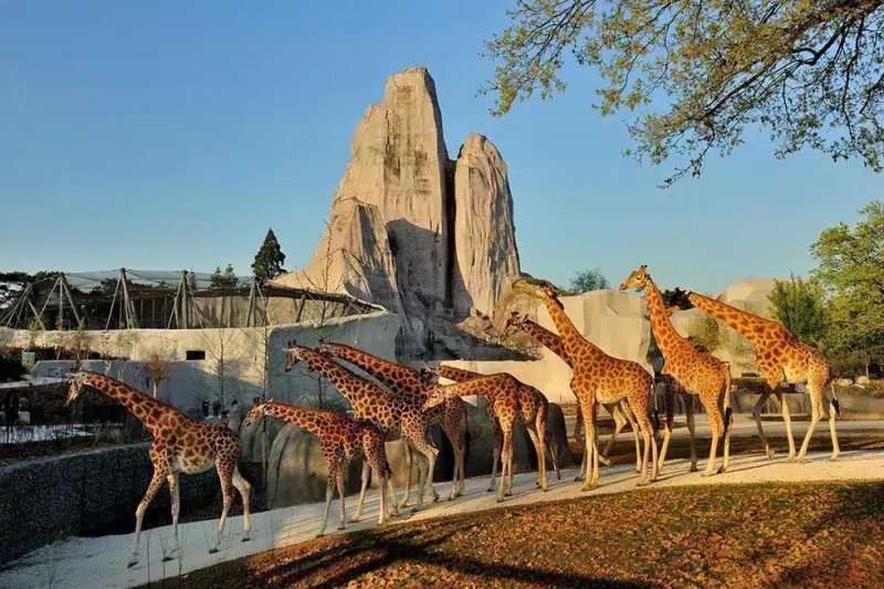 Parc Zoologique de Paris (Zoo de Vincennes)