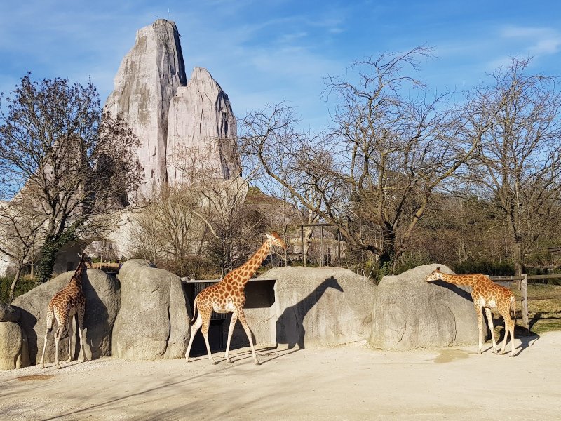 Parc zoologique de Paris