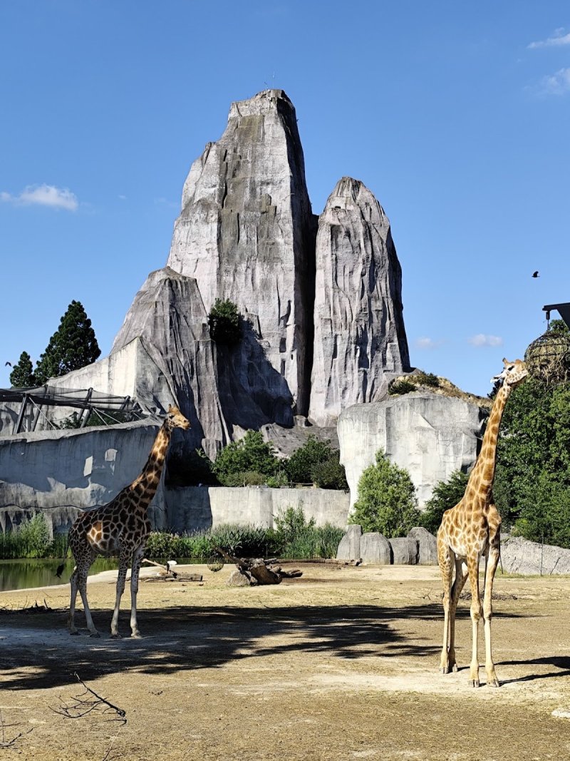 Parc zoologique de Paris