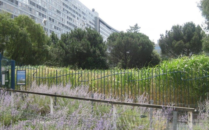 jardin Atlantique