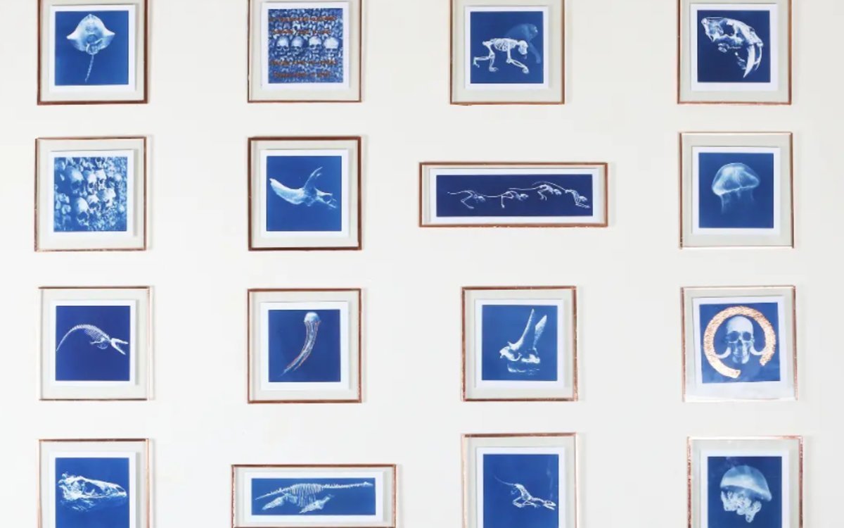 Exposition - Soraya Meunier