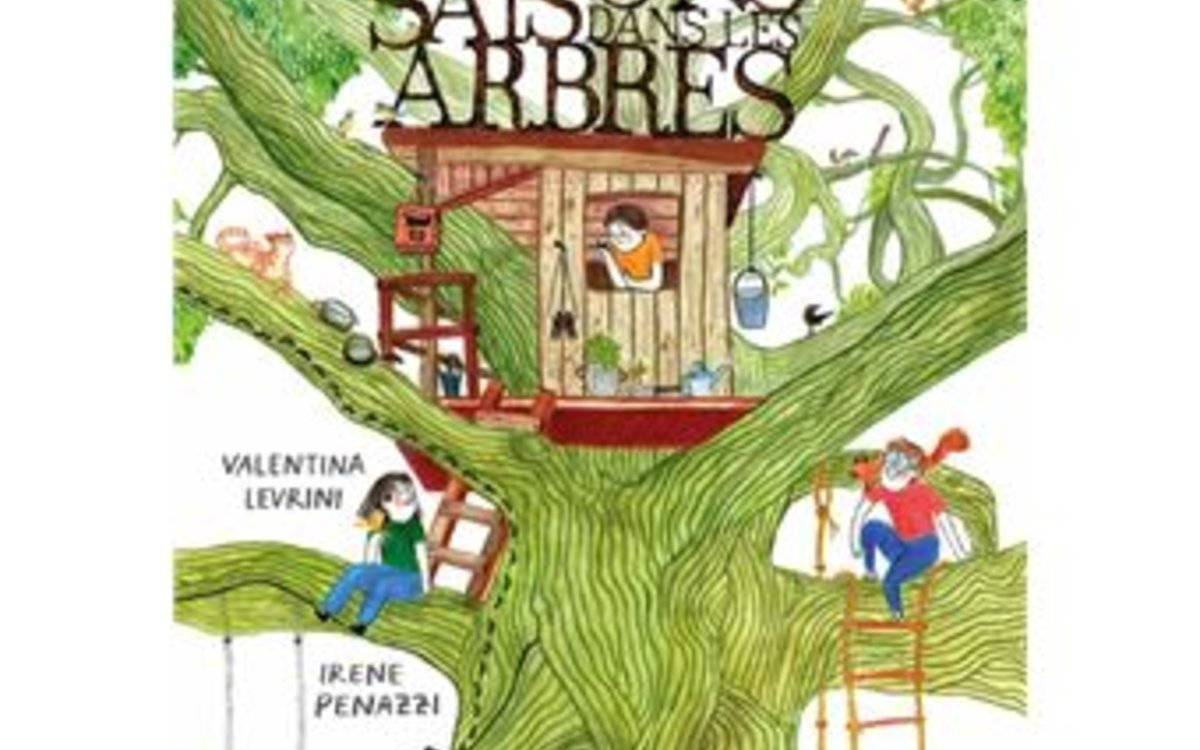Quatre saisons dans les arbres