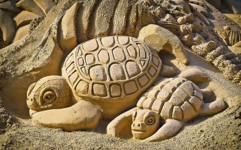 Du mimétisme à l’engagement : l’évolution du rapport entre artistes et nature
