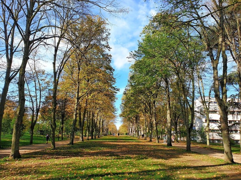 Parc Cité internationale universitaire de Paris