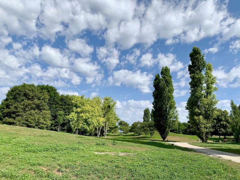 Parc départemental Georges Valbon