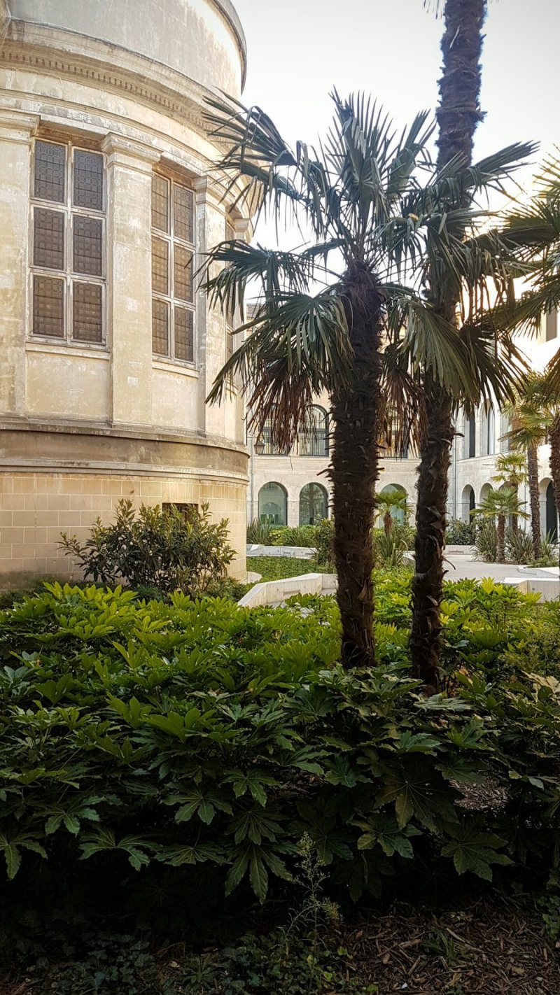 Jardin Saint-Lazare