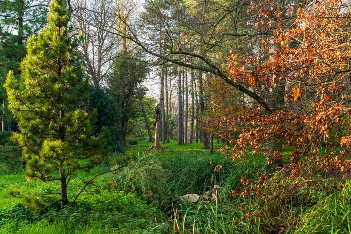 Arboretum de Paris