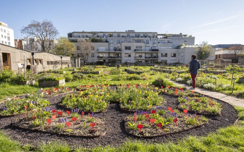 Les activités du Paysan Urbain Paris : le Programme de Juillet 2026