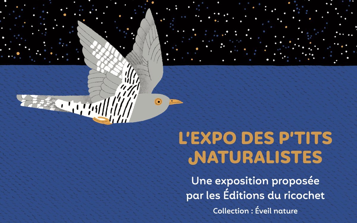 Exposition | Les P'tits naturalistes