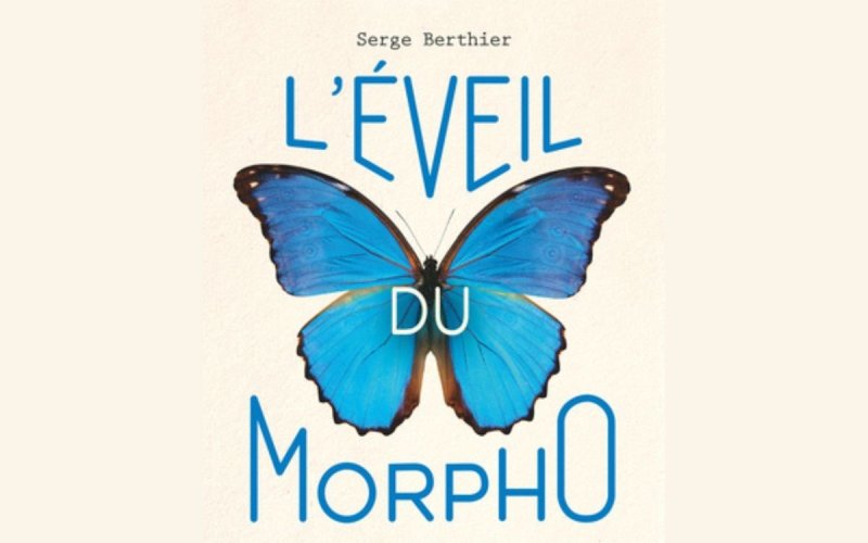 L'éveil du Morpho : bio-inspirez-vous !