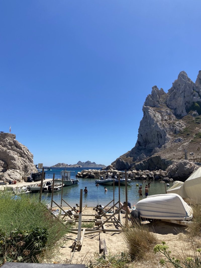 La Baie Des Singes