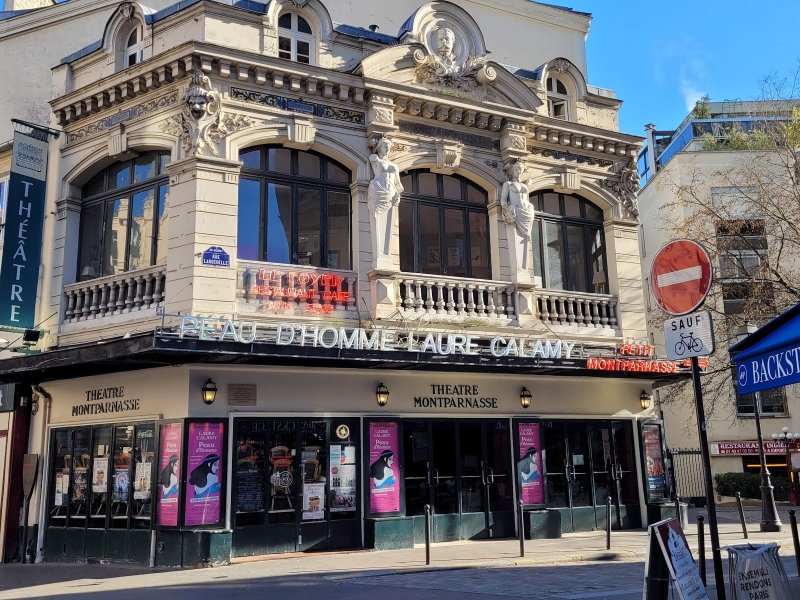Théâtre Montparnasse & Petit Montparnasse