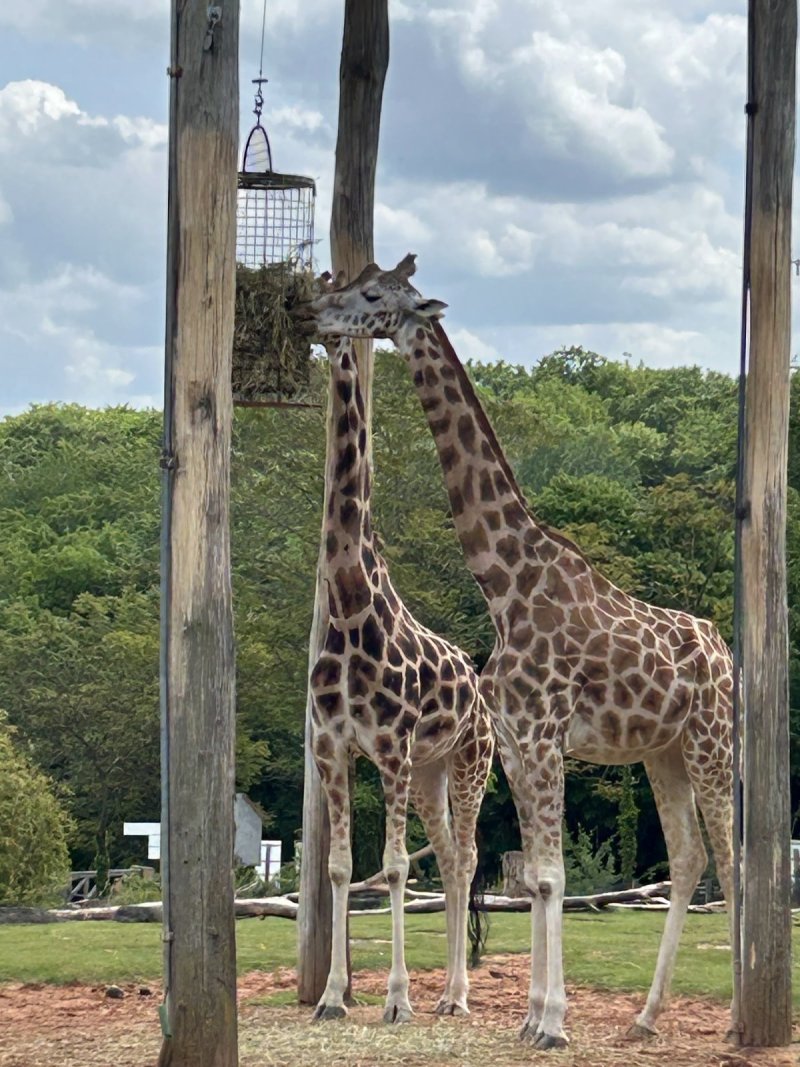 Zoo d'Amnéville