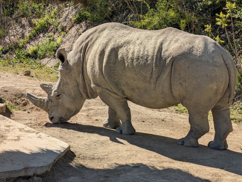 Zoo d'Amnéville