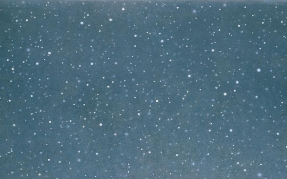 Contrepoint contemporain. Vija Celmins