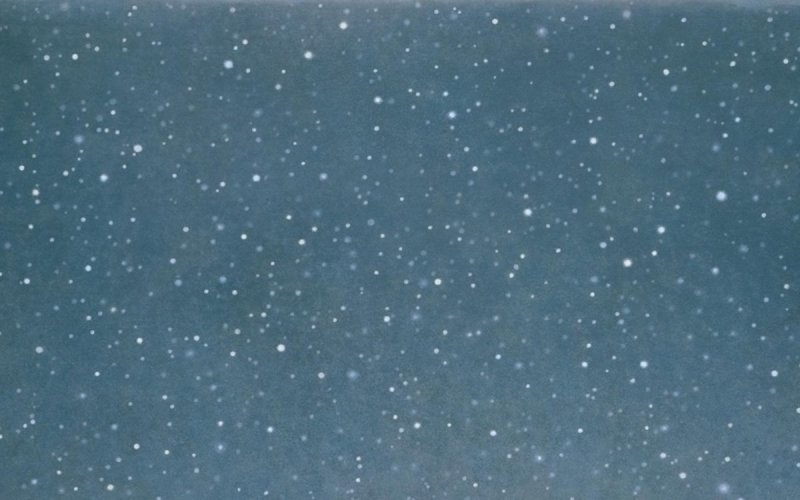 Contrepoint contemporain. Vija Celmins