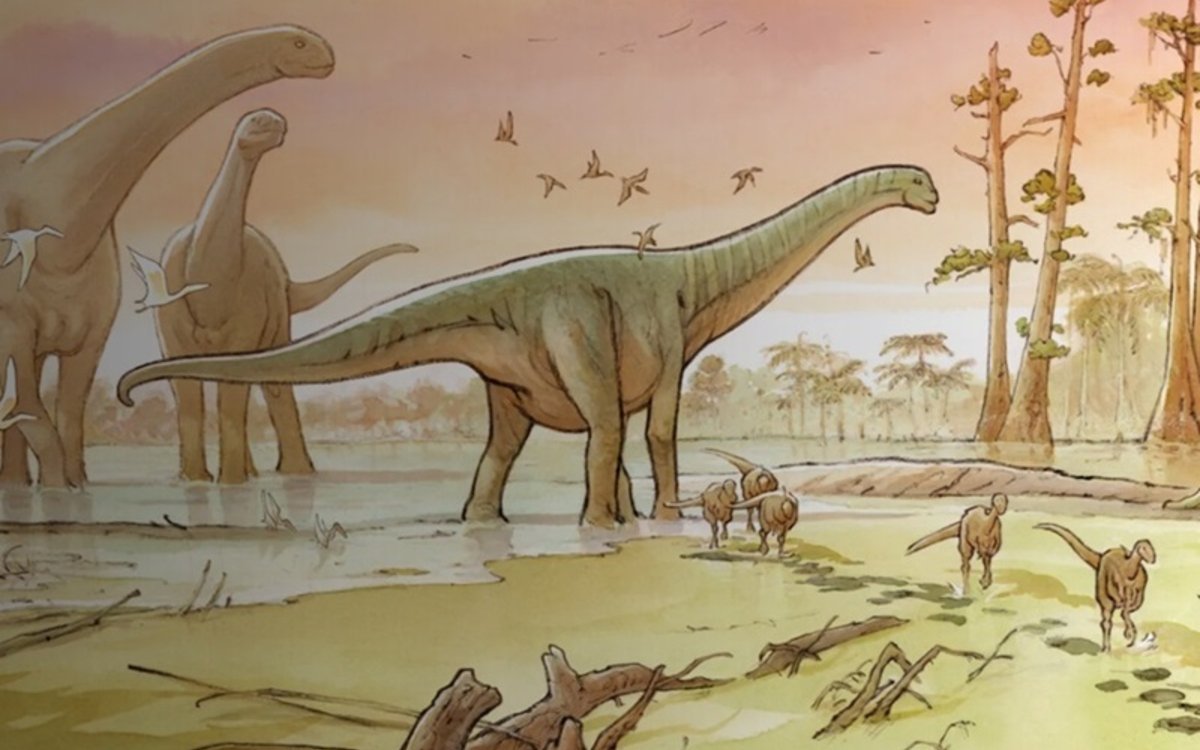Remportez des entrées pour l'expo « Sur les traces des dinosaures » à la Grande Galerie de l'Évolution