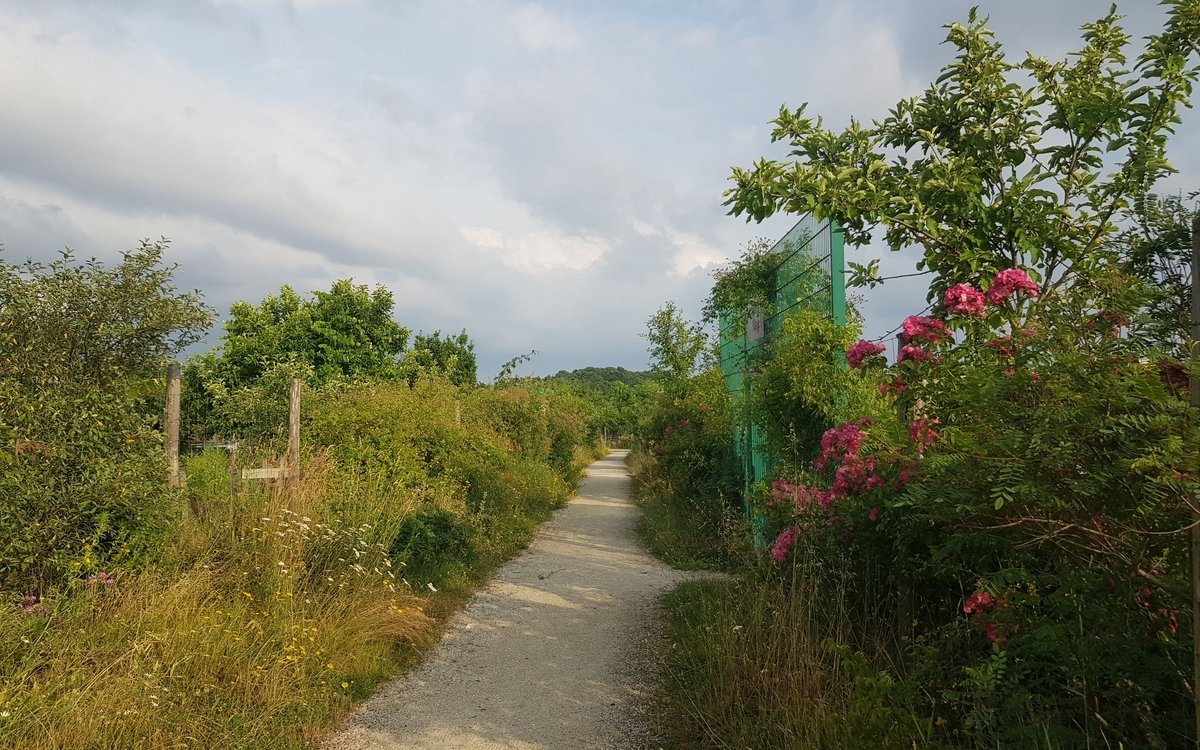 Visite guidée des jardins familiaux Les Arpents