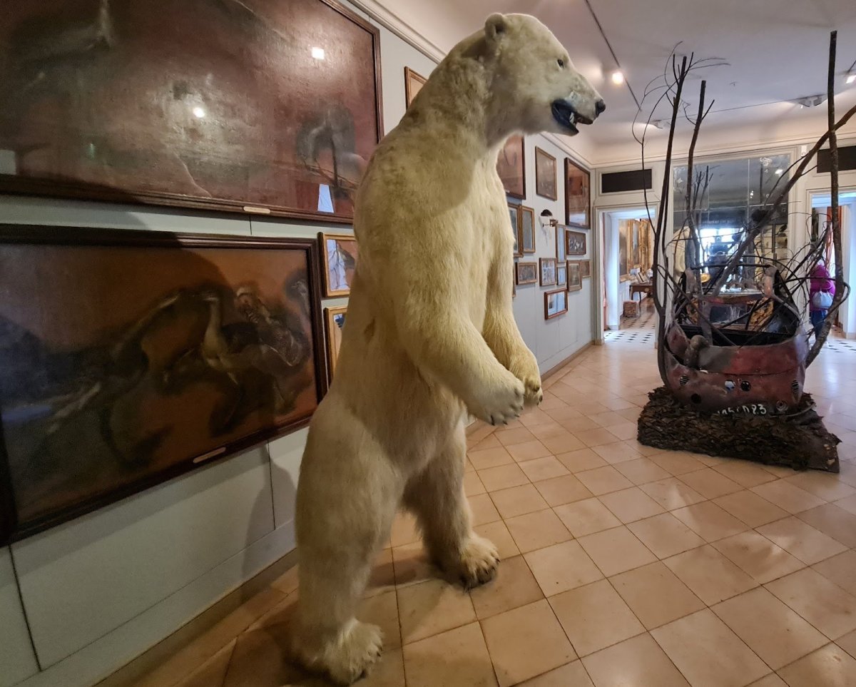 Musée de la Chasse et de la Nature