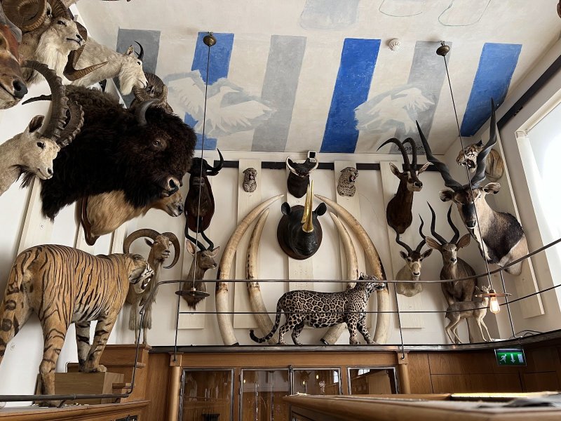 Musée de la Chasse et de la Nature