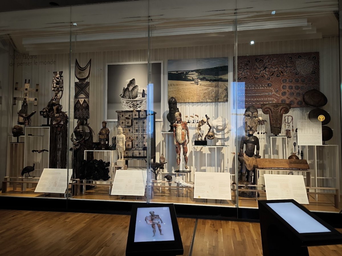 Musée de l'Homme