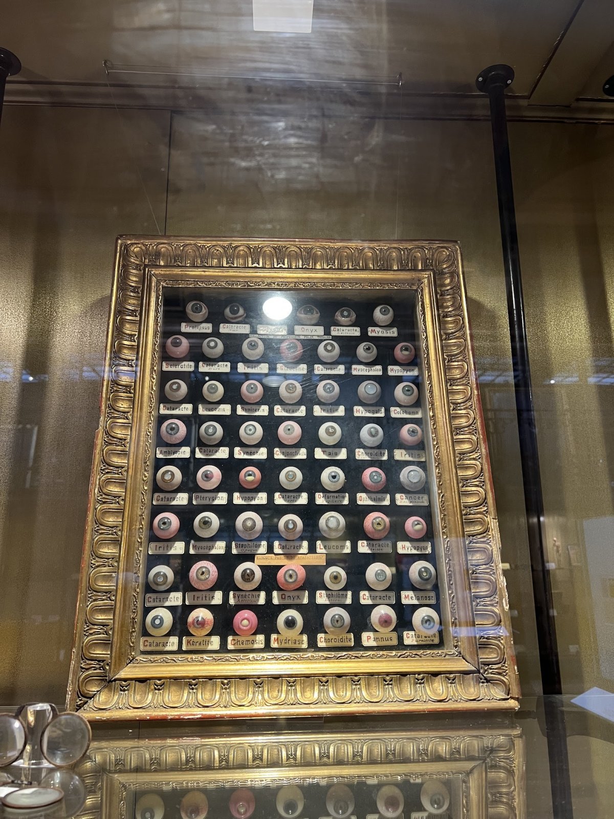Musée d'Histoire de la Médecine