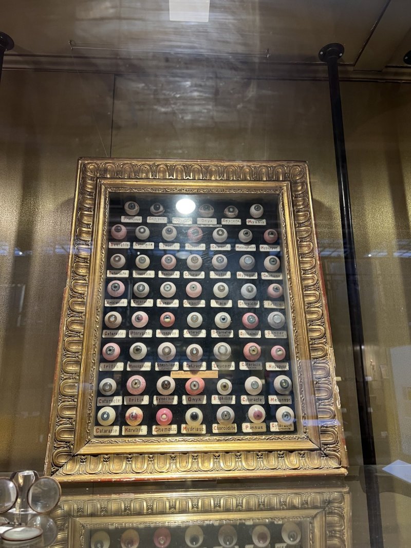 Musée d'Histoire de la Médecine