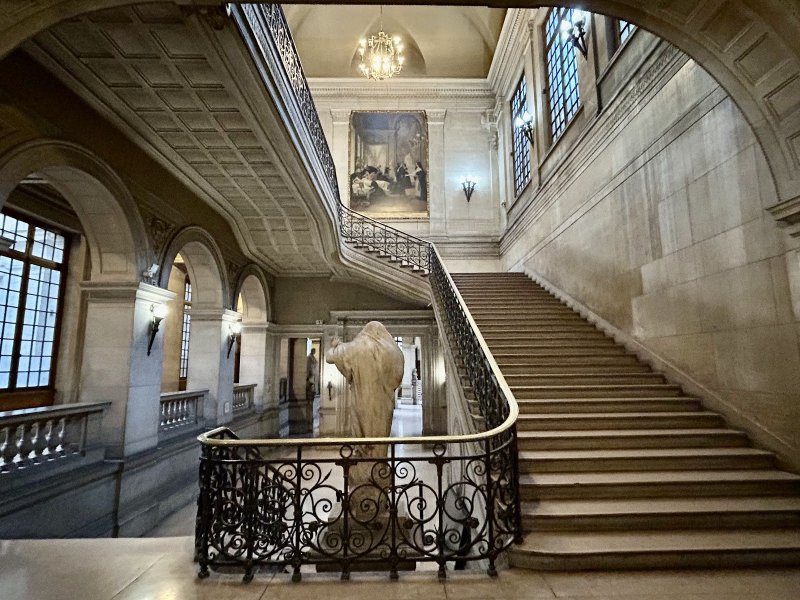 Musée d'Histoire de la Médecine
