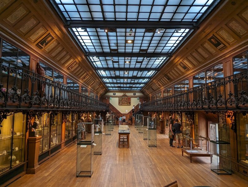 Musée d'Histoire de la Médecine
