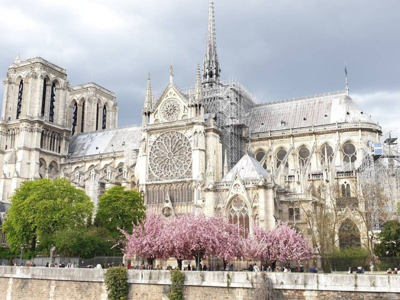 Cathédrale Notre-Dame de Paris
