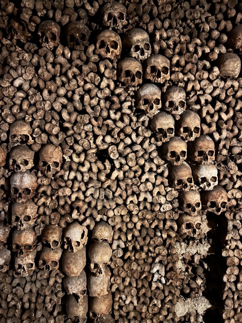 Les Catacombes de Paris