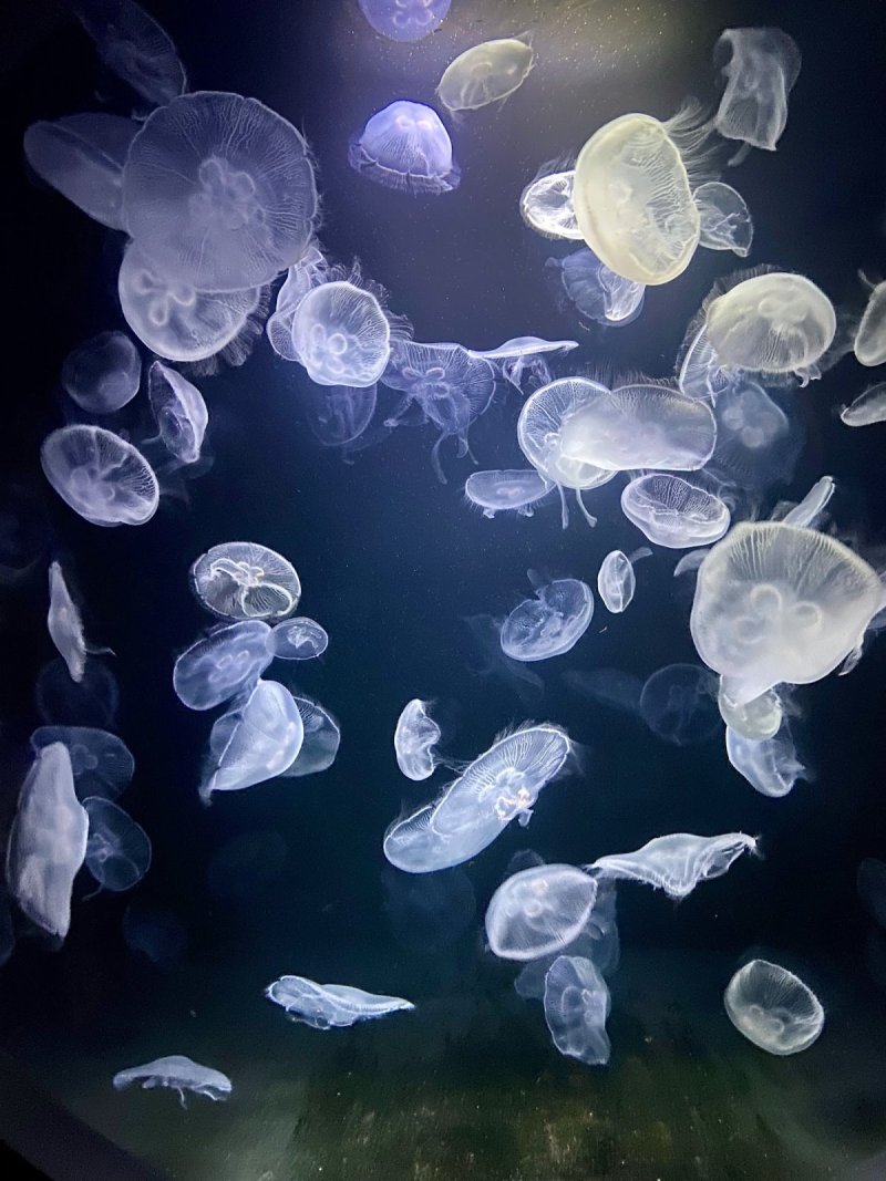Aquarium de Paris